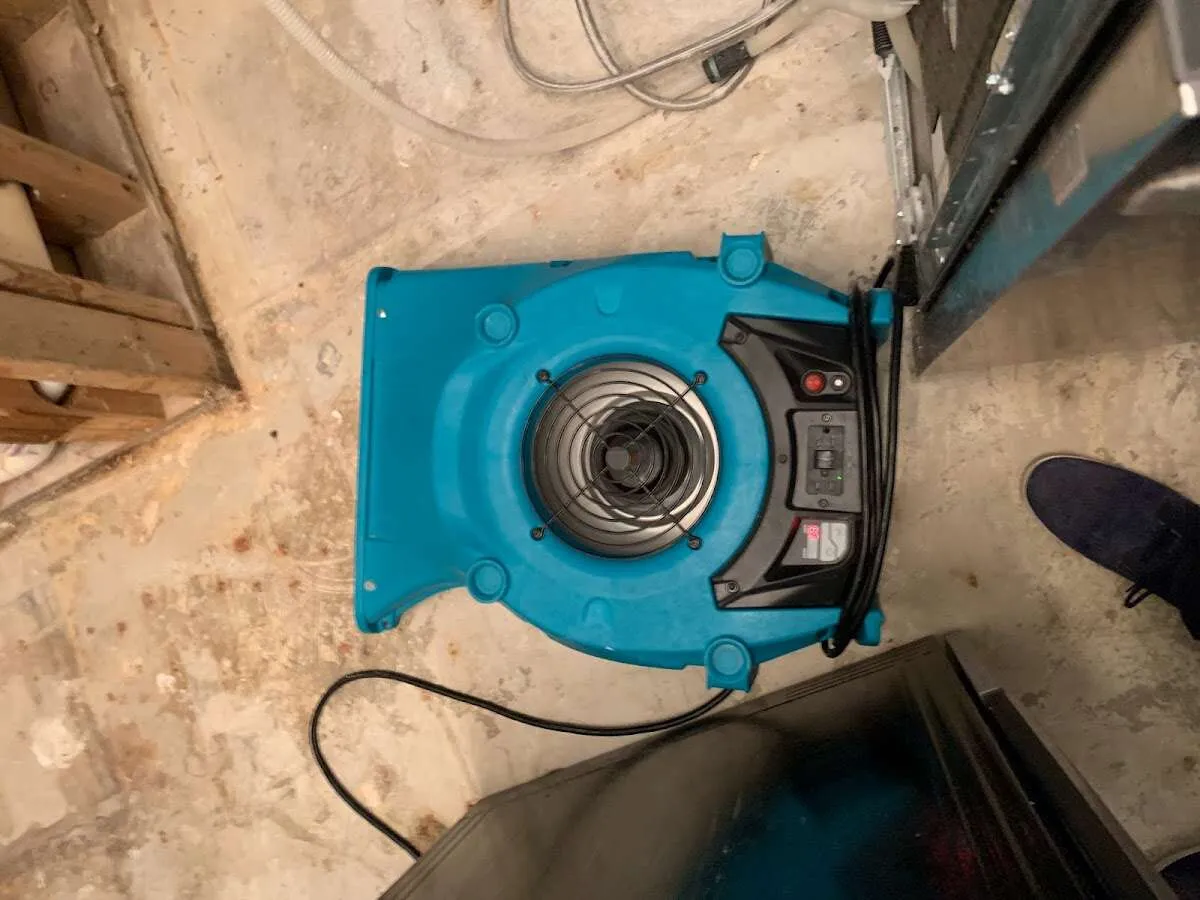 Air mover drying equipment for Mold Remediation & Removal in Luling